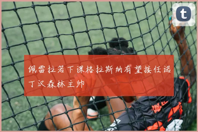 佩雷拉若下课格拉斯纳有望接任诺丁汉森林主帅