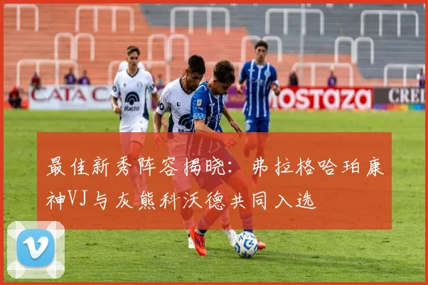 最佳新秀阵容揭晓：弗拉格哈珀康神VJ与灰熊科沃德共同入选